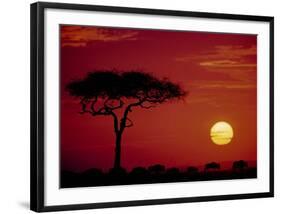 Wild Beast Migration, Masai Mara, Kenya-Dee Ann Pederson-Framed Art Print