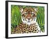 Wild Beauties II-Carolee Vitaletti-Framed Art Print