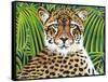 Wild Beauties II-Carolee Vitaletti-Framed Stretched Canvas