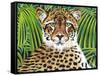 Wild Beauties II-Carolee Vitaletti-Framed Stretched Canvas