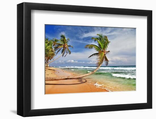 Wild Beautiful Beach Sri Lanka-null-Framed Art Print