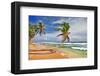 Wild Beautiful Beach Sri Lanka-null-Framed Art Print