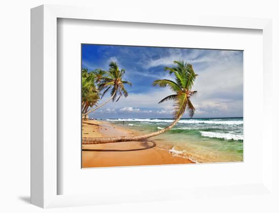 Wild Beautiful Beach Sri Lanka-null-Framed Art Print