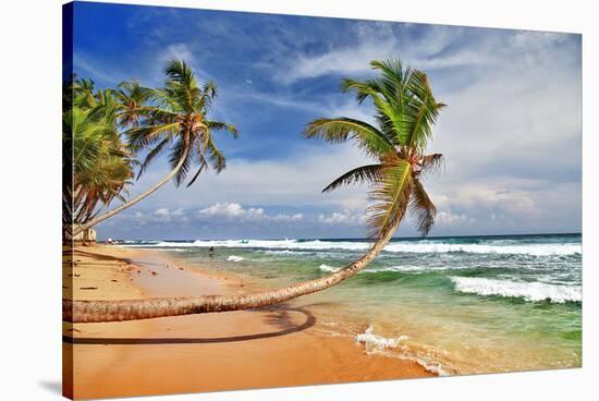Wild Beautiful Beach Sri Lanka-null-Stretched Canvas
