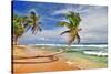 Wild Beautiful Beach Sri Lanka-null-Stretched Canvas