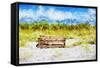 Wild Bench - In the Style of Oil Painting-Philippe Hugonnard-Framed Stretched Canvas