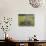 Wild Bergamot, Black Eyed Susans, Michigan, USA-Adam Jones-Stretched Canvas displayed on a wall