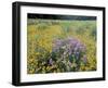 Wild Bergamot, Black Eyed Susans, Michigan, USA-Adam Jones-Framed Premium Photographic Print