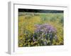 Wild Bergamot, Black Eyed Susans, Michigan, USA-Adam Jones-Framed Photographic Print