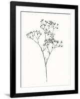 Wild Bloom Sketch I-Annie Warren-Framed Art Print