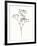 Wild Bloom Sketch I-Annie Warren-Framed Art Print