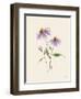 Wild Blooms I-Katrina Pete-Framed Art Print