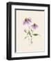 Wild Blooms I-Katrina Pete-Framed Art Print