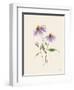 Wild Blooms I-Katrina Pete-Framed Art Print