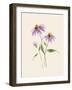 Wild Blooms I-Katrina Pete-Framed Art Print