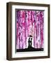 Wild Blossoms-Marc Allante-Framed Giclee Print