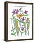 Wild Blue Phlox-Beverly Dyer-Framed Art Print