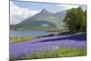 Wild Bluebells (Hyacinthoides Non-Scripta) Beside Loch Leven-Ruth Tomlinson-Mounted Photographic Print