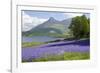 Wild Bluebells (Hyacinthoides Non-Scripta) Beside Loch Leven-Ruth Tomlinson-Framed Photographic Print