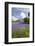 Wild Bluebells (Hyacinthoides Non-Scripta) Beside Loch Leven-Ruth Tomlinson-Framed Photographic Print