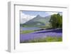 Wild Bluebells (Hyacinthoides Non-Scripta) Beside Loch Leven-Ruth Tomlinson-Framed Photographic Print