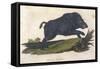 Wild Boar 1814-null-Framed Stretched Canvas