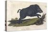 Wild Boar 1814-null-Stretched Canvas