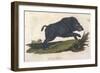 Wild Boar 1814-null-Framed Art Print