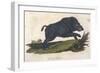 Wild Boar 1814-null-Framed Art Print