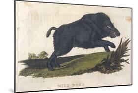 Wild Boar 1814-null-Mounted Art Print