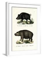 Wild Boar, 1824-Karl Joseph Brodtmann-Framed Giclee Print