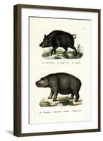 Wild Boar, 1824-Karl Joseph Brodtmann-Framed Giclee Print