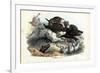 Wild Boar, 1863-79-Raimundo Petraroja-Framed Giclee Print