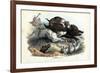 Wild Boar, 1863-79-Raimundo Petraroja-Framed Giclee Print