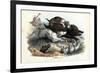 Wild Boar, 1863-79-Raimundo Petraroja-Framed Giclee Print