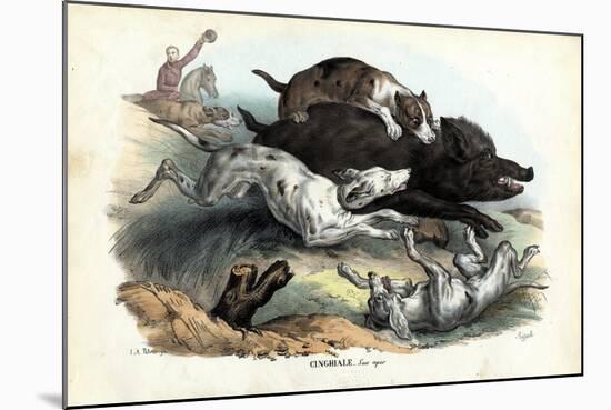 Wild Boar, 1863-79-Raimundo Petraroja-Mounted Giclee Print