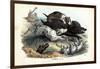 Wild Boar, 1863-79-Raimundo Petraroja-Framed Giclee Print