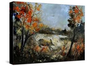 Wild Boar 56-Pol Ledent-Stretched Canvas