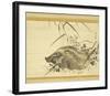 Wild Boar amidst Autumn Flowers and Grasses-Mori Sosen-Framed Art Print