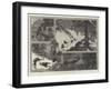 Wild Boar Hunting in Northern Albania-Richard Caton Woodville II-Framed Giclee Print