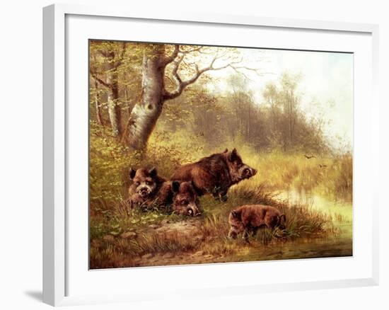 Wild Boar in the Black Forest, 1880-Moritz Muller-Framed Giclee Print