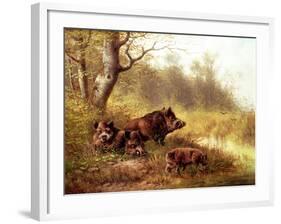 Wild Boar in the Black Forest, 1880-Moritz Muller-Framed Giclee Print