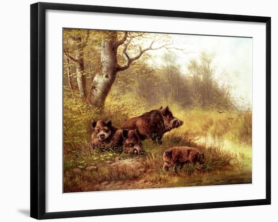 Wild Boar in the Black Forest, 1880-Moritz Muller-Framed Giclee Print