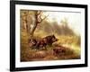 Wild Boar in the Black Forest, 1880-Moritz Muller-Framed Giclee Print