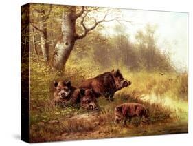 Wild Boar in the Black Forest, 1880-Moritz Muller-Stretched Canvas