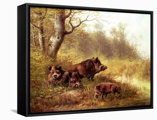 Wild Boar in the Black Forest, 1880-Moritz Muller-Framed Stretched Canvas