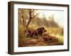 Wild Boar in the Black Forest, 1880-Moritz Muller-Framed Giclee Print