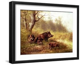 Wild Boar in the Black Forest, 1880-Moritz Muller-Framed Giclee Print