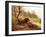 Wild Boar in the Black Forest, 1880-Moritz Muller-Framed Giclee Print