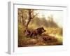 Wild Boar in the Black Forest, 1880-Moritz Muller-Framed Giclee Print